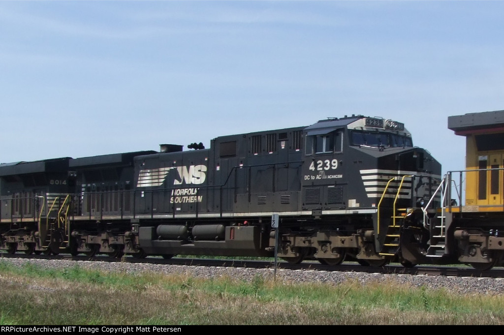 NS 4239